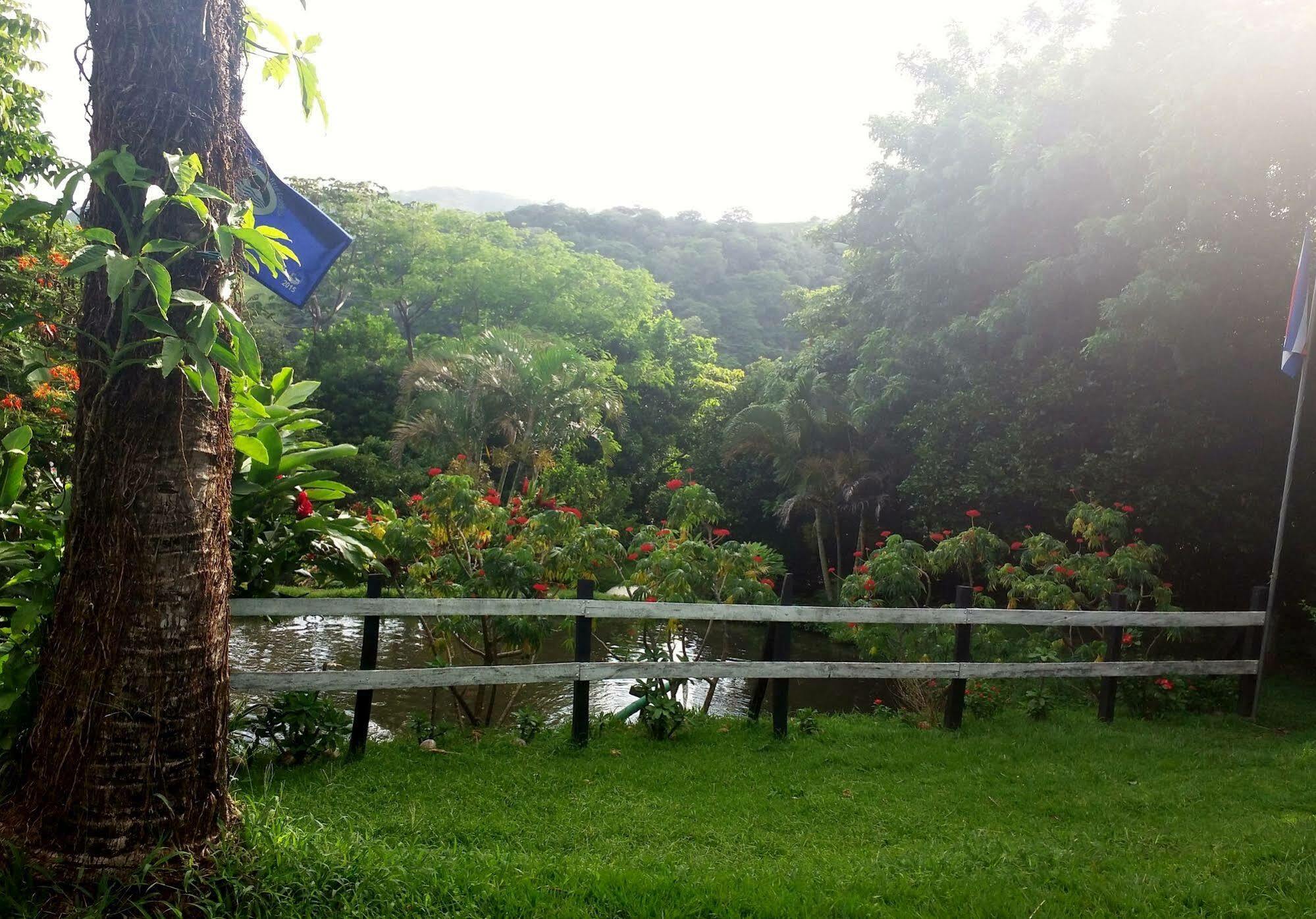Rancho de Lelo Ecolodge&Sustainable Farm Monteverde Exterior foto