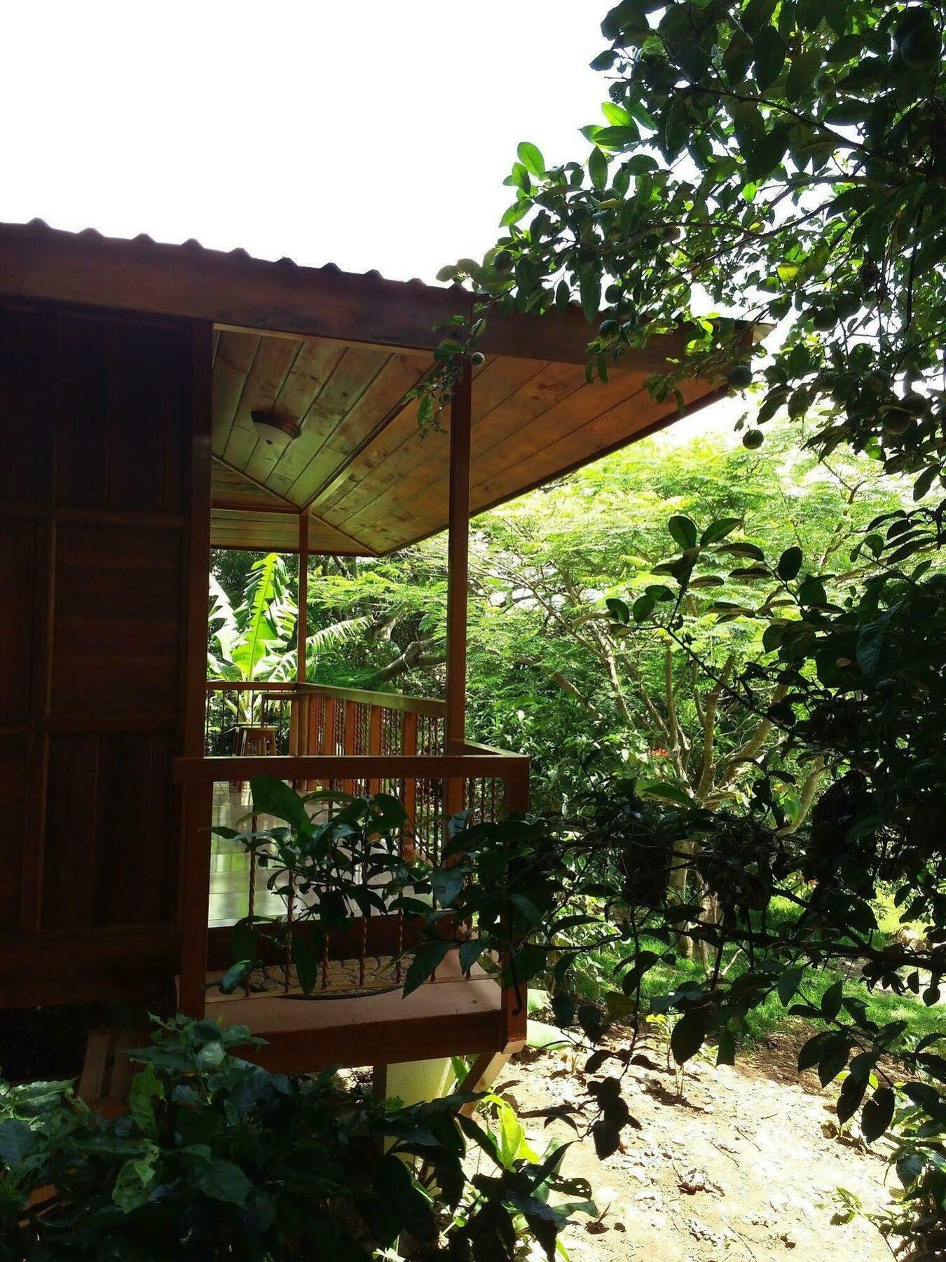 Rancho de Lelo Ecolodge&Sustainable Farm Monteverde Exterior foto