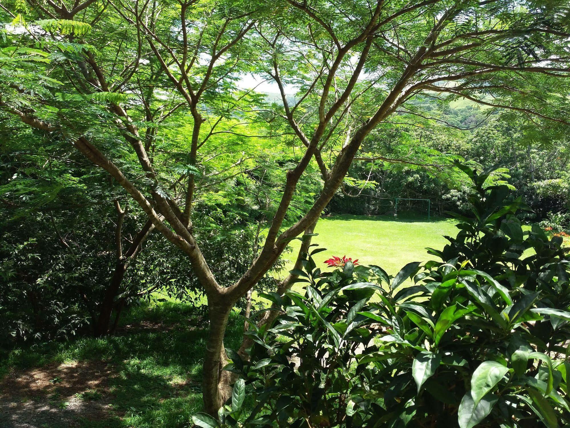 Rancho de Lelo Ecolodge&Sustainable Farm Monteverde Exterior foto
